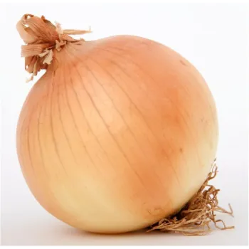 Organic Onion 